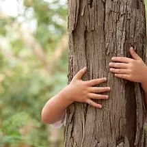 l’école sous les arbres